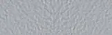 Cement-grigio-1.jpg.webp